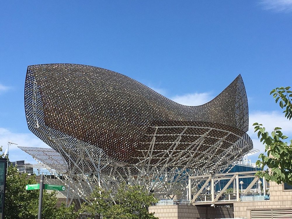 «Золота рибка»