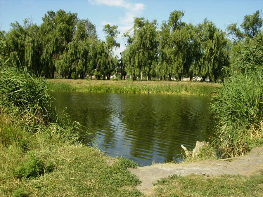 Річка Сухий Торець у місті Барвінкове