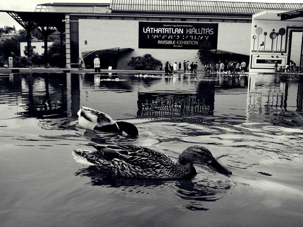 "Невидима" виставка