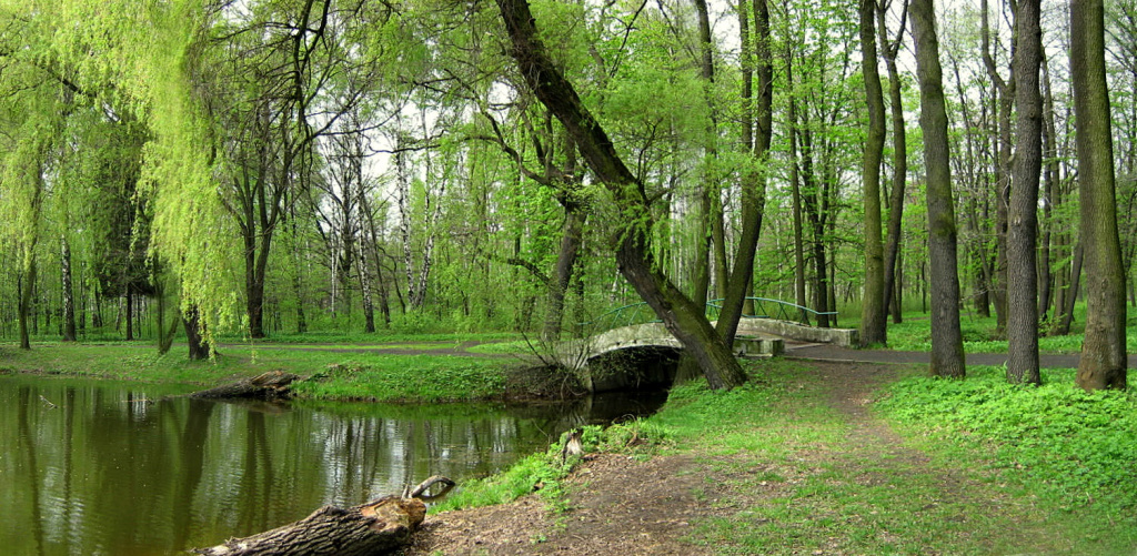 Парк, Домброва Гурнича