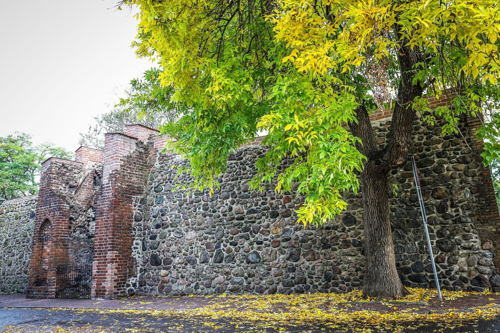 Середньовічні стіни у Гужові-Великопольському