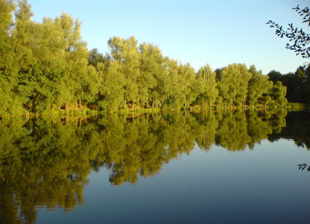 Пруд Перекошка в Люботине