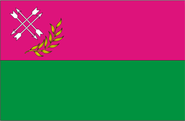 Флаг Лозовой