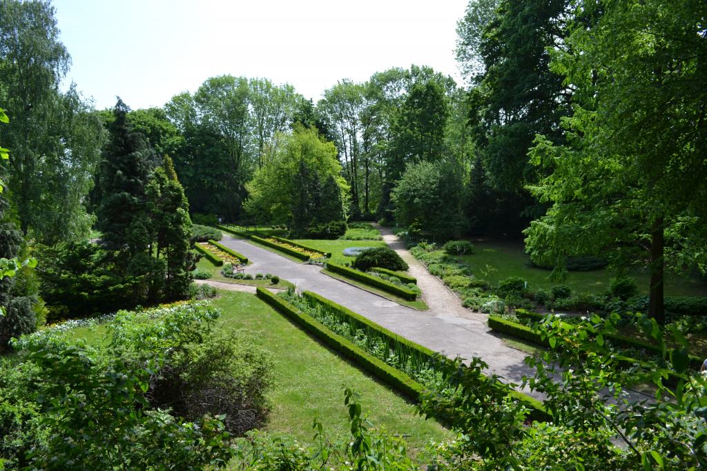 Ботанічний сад UMCS в Любліні