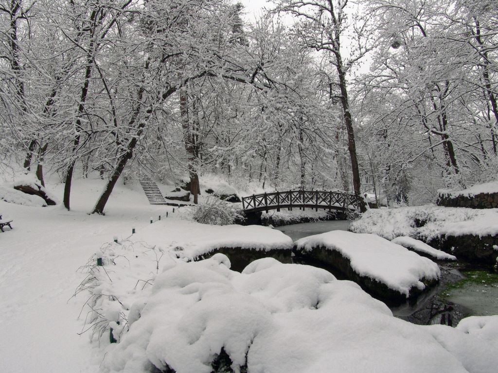 Парк "Софіївка" взимку
