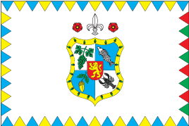 Флаг Виноградова