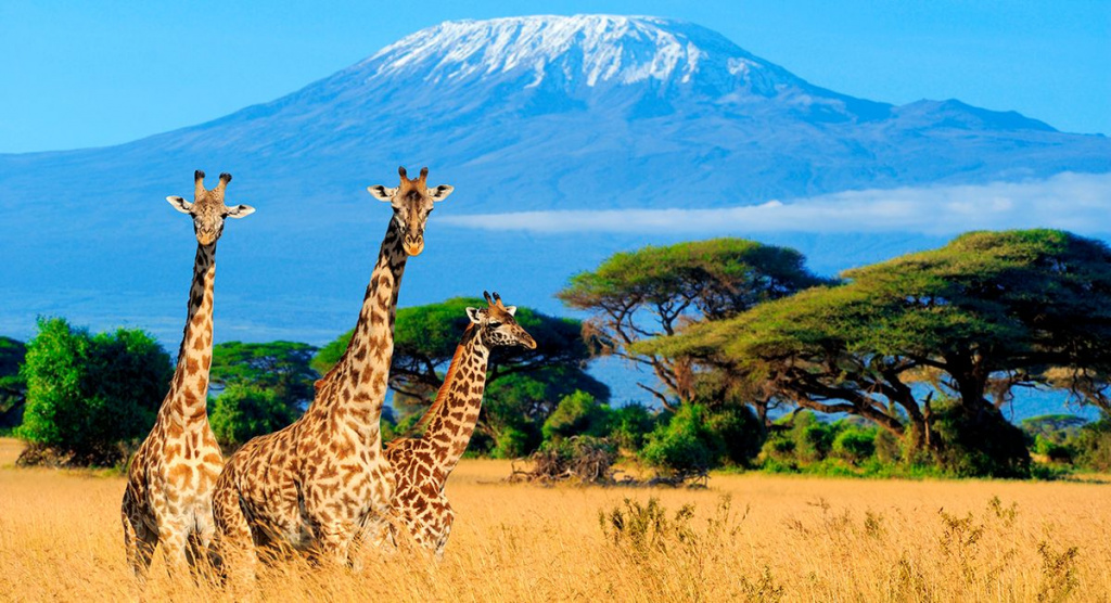 Гора Кіліманджаро, Кенія