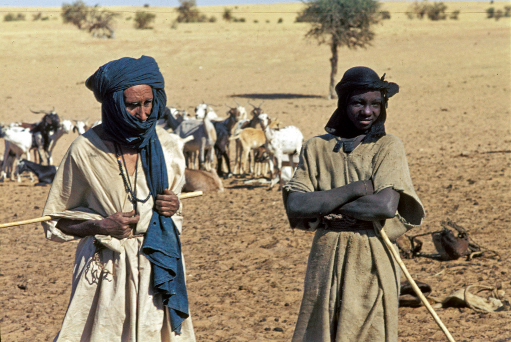 Туареги - исторические кочевые жители северного Мали