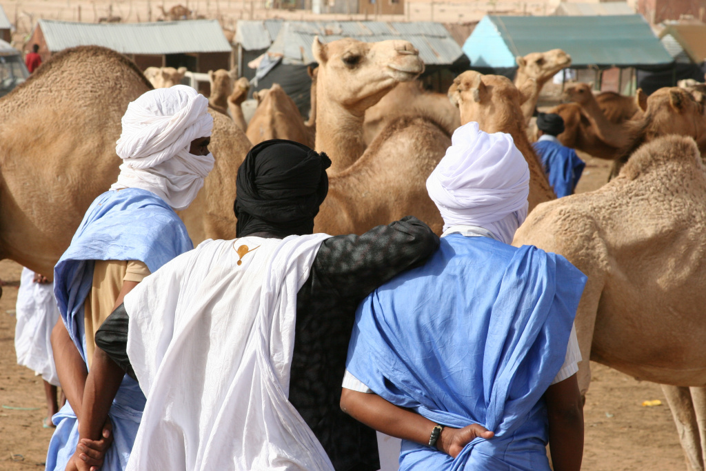 Ринок верблюдів у Мавританії