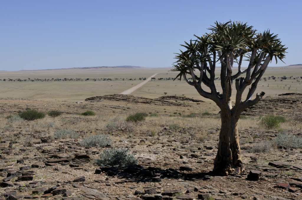 Напівпустельне плато Намібії