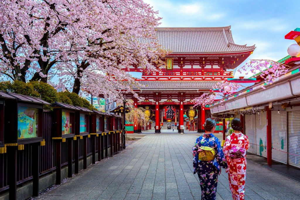 Цвітіння сакури в Японії