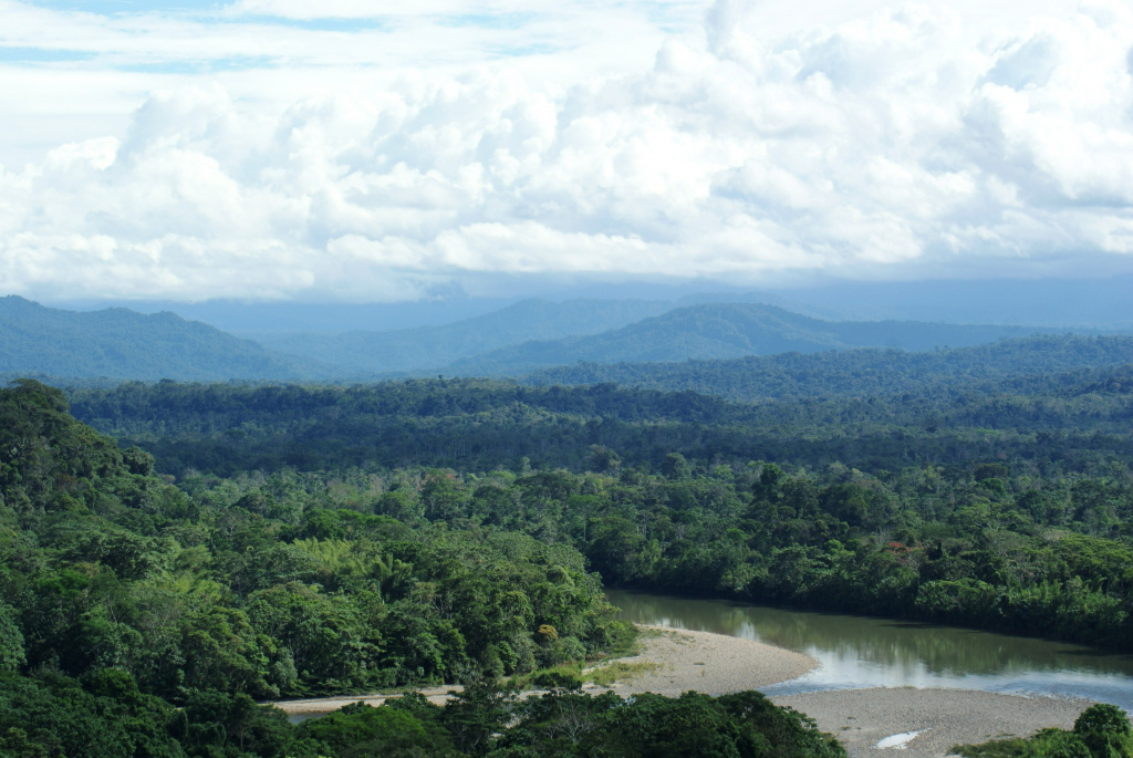 Тропічні ліси Амазонки в Еквадорі