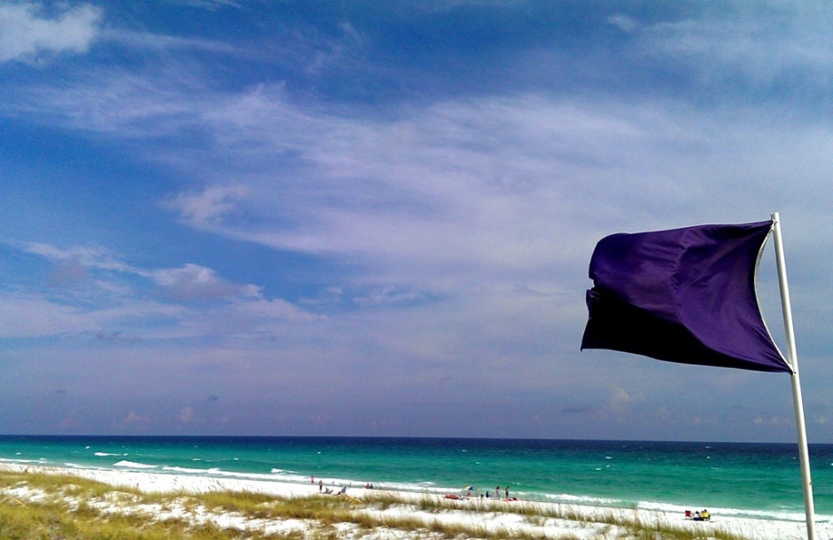 Фіолетовий прапор на пляжі