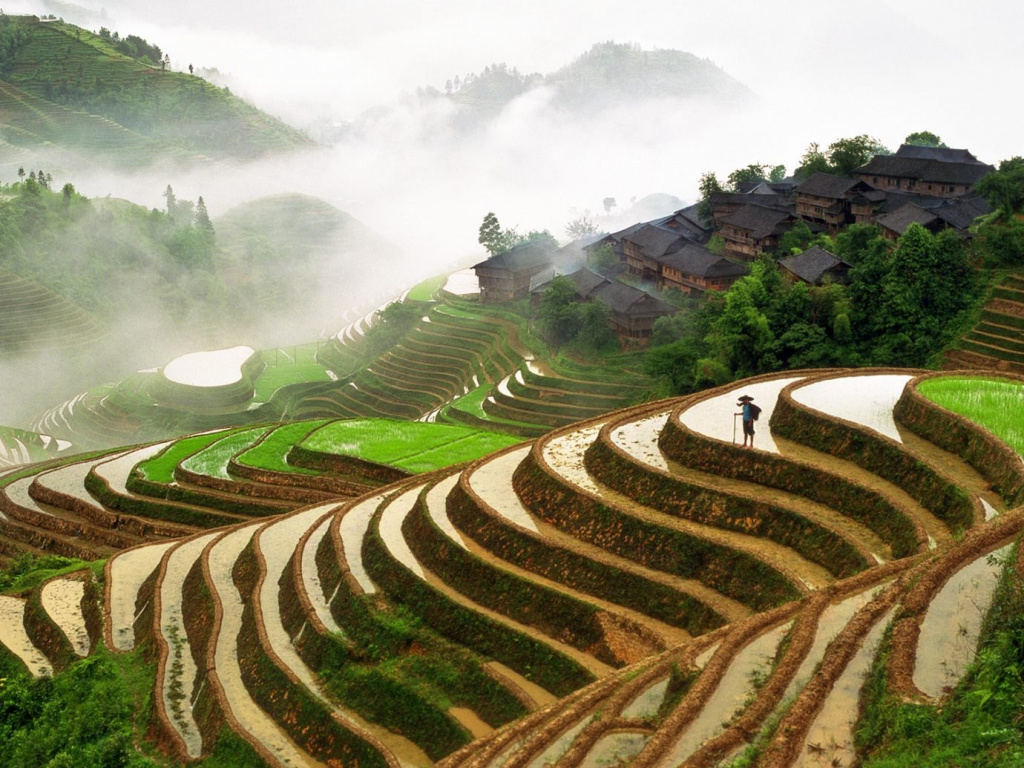 Вид на рисові поля Хунхе-Хані